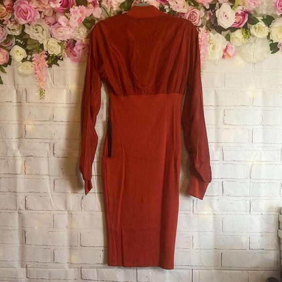 Mad for Love Long Sleeve Double Zipper Pencil Dress in the color Rust size Small - Picture 10 of 13